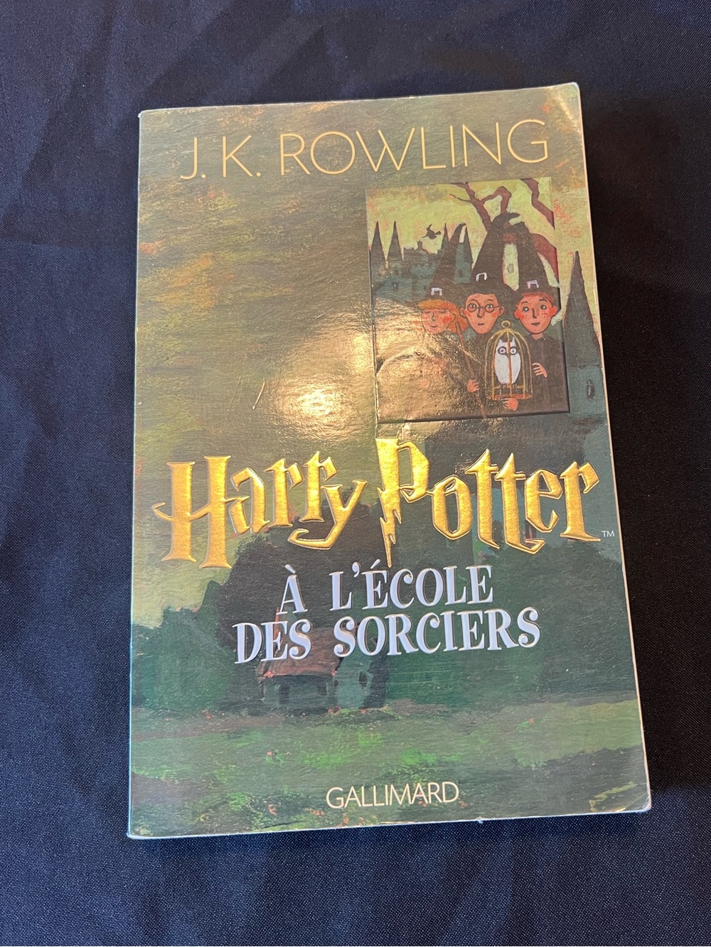 Harry Potter À L'École Des Sorciers Paperback French Edition Book 1 Gallimard